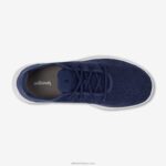 Allbirds erkek ağaç koşucuları L6L2L11 puslu indigo (kar fırtınası tabanı) - Image 5