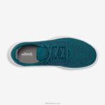Allbirds erkek ağaç koşucuları L6L2L8 derin zümrüt (kar fırtınası tabanı) - Image 5