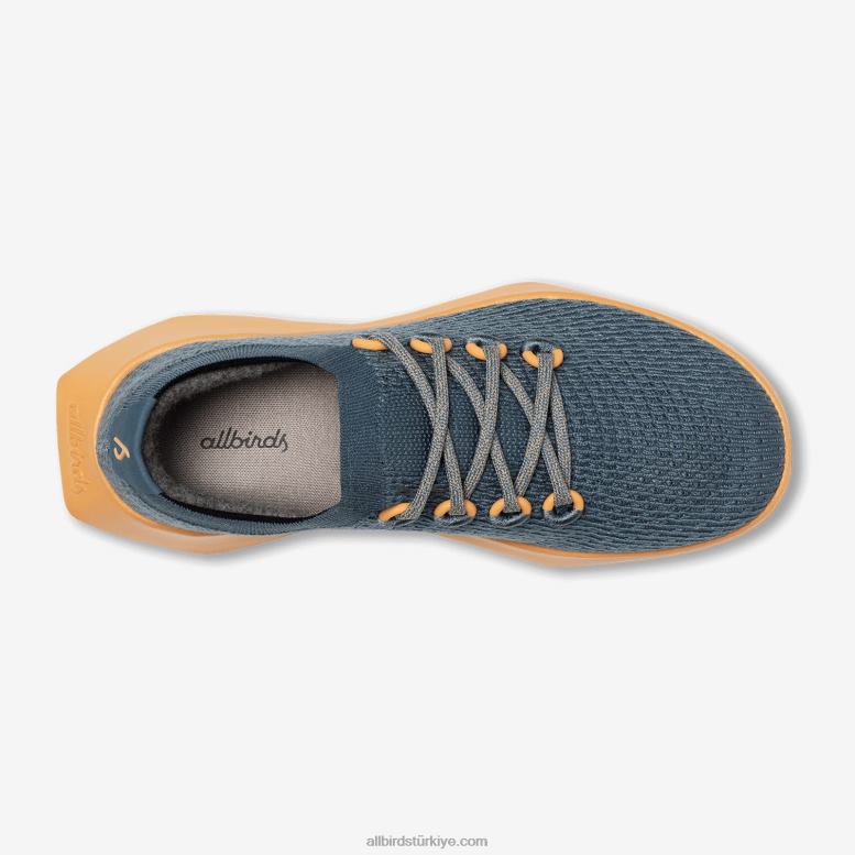 Allbirds erkekler ağaç dasher 2 L6L2L17 sakin deniz mavisi (yem ten rengi taban) - Image 5