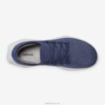 Allbirds erkekler ağaç dasher 2 L6L2L19 puslu indigo (kar fırtınası tabanı) - Image 5