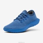Allbirds erkekler ağaç dasher 2 L6L2L21 saf masmavi