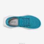 Allbirds erkekler ağaç dasher 2 L6L2L22 gelişen deniz mavisi (kar fırtınası tabanı) - Image 5