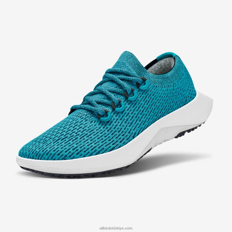 Allbirds erkekler ağaç dasher 2 L6L2L22 gelişen deniz mavisi (kar fırtınası tabanı) - Image 1