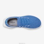 Allbirds erkekler ağaç dasher 2 L6L2L23 canlı mavi (kar fırtınası tabanı) - Image 7