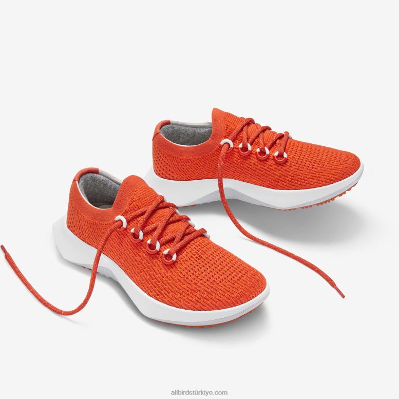 Allbirds erkekler ağaç dasher 2 L6L2L24 rad pas (kar fırtınası tabanı) - Image 5