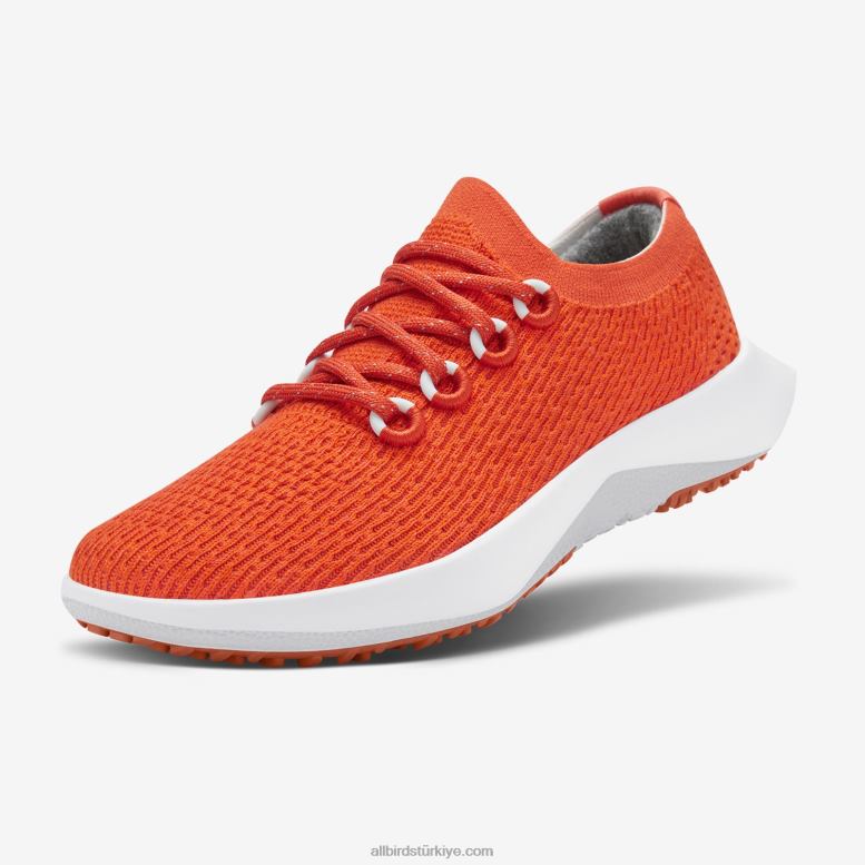 Allbirds erkekler ağaç dasher 2 L6L2L24 rad pas (kar fırtınası tabanı) - Image 1