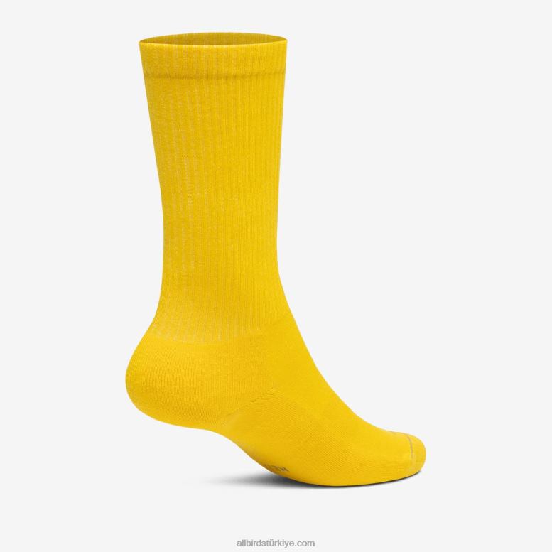 Allbirds erkekler herzaman mürettebat çorabı L6L2L117 güneşli kadife çiçeği - Image 2