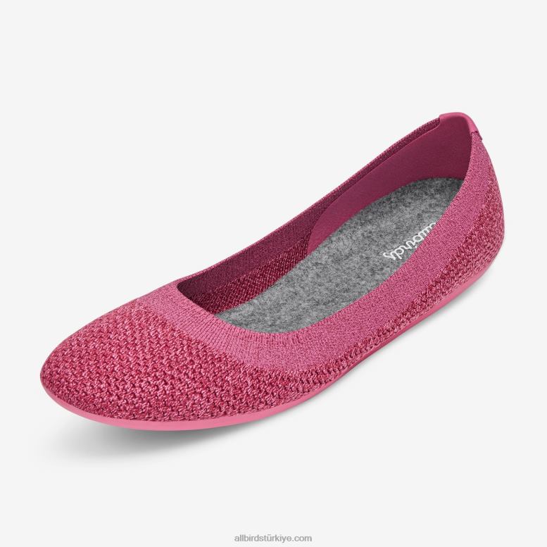 allbirds_kadin_agac_esintileri_l6l2l161_luks_pembe.jpg Allbirds kadın ağaç esintileri L6L2L161 lüks pembe - Image 1