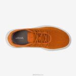 Allbirds kadın ağaç koşucuları L6L2L156 bal pası (kar fırtınası tabanı) - Image 4