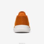 Allbirds kadın ağaç koşucuları L6L2L156 bal pası (kar fırtınası tabanı) - Image 5