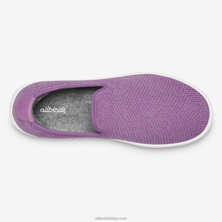 Allbirds kadın ağaç şezlongları L6L2L178 lüks mor (kar fırtınası tabanı) - Image 5