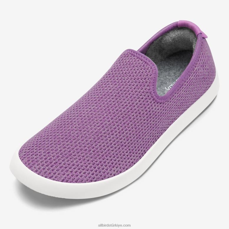 Allbirds kadın ağaç şezlongları L6L2L178 lüks mor (kar fırtınası tabanı) - Image 1