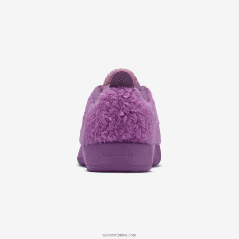 Allbirds küçük kuşlar yün yolluklar - küçük çocuklar L6L2L240 lüks mor tüyler - Image 3